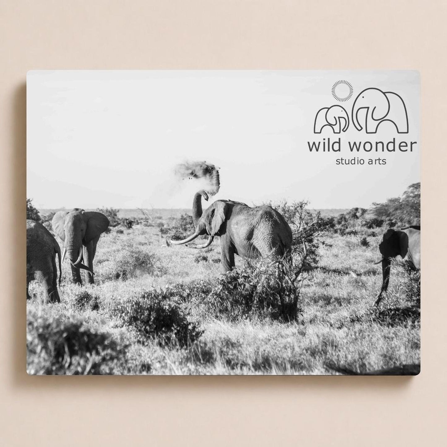 A black and white photograph of a herd of elephants in a grassy field, with the logo of "wild wonder studio arts" displayed in the top right corner.