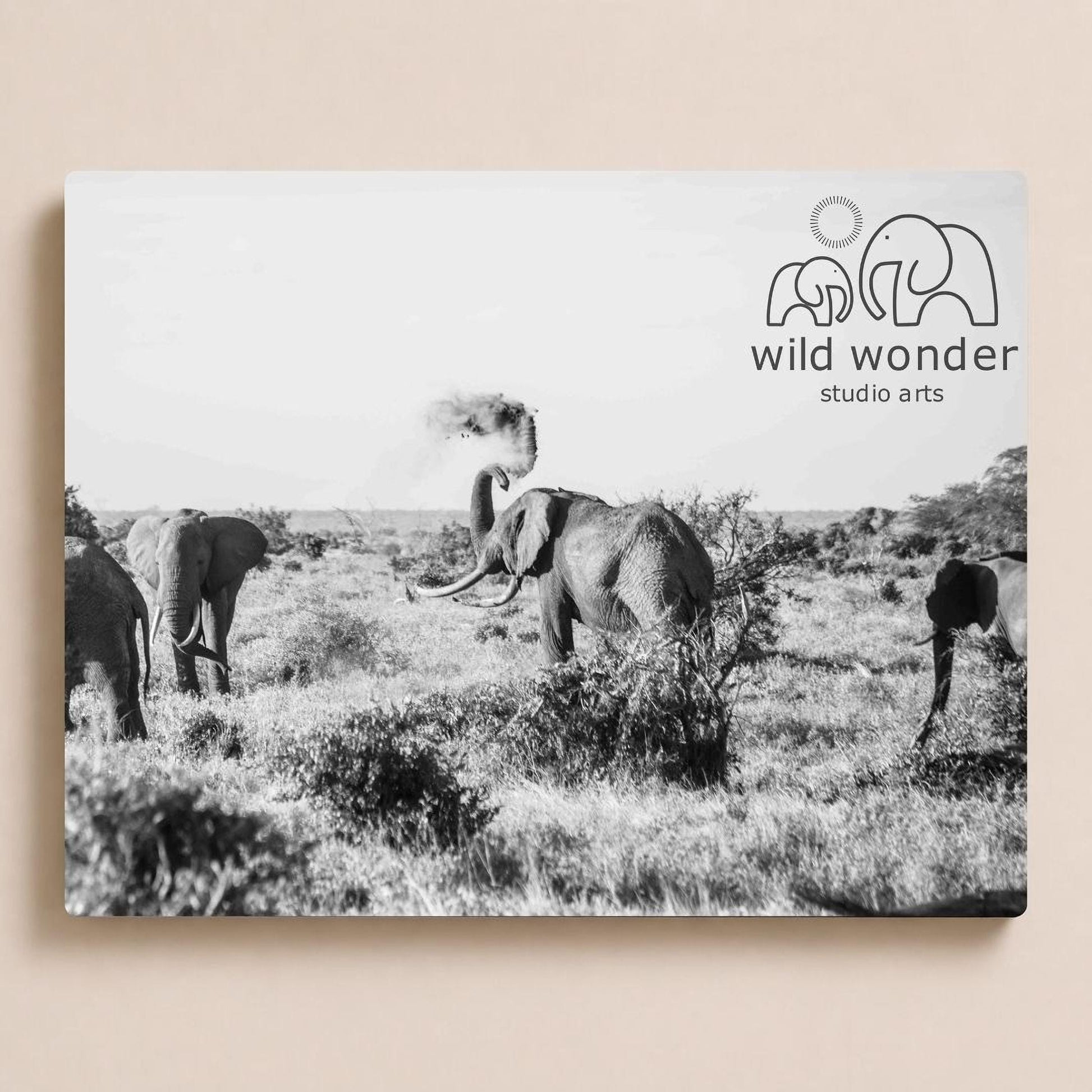 A black and white photograph of a herd of elephants in a grassy field, with the logo of "wild wonder studio arts" displayed in the top right corner.