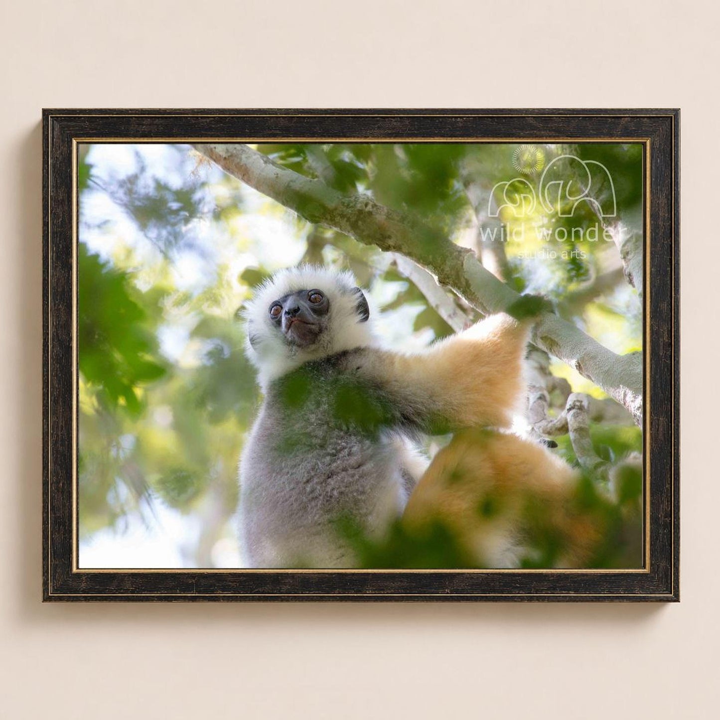 A close-up photograph of a lemur, a type of primate, sitting on a tree branch surrounded by lush green foliage.