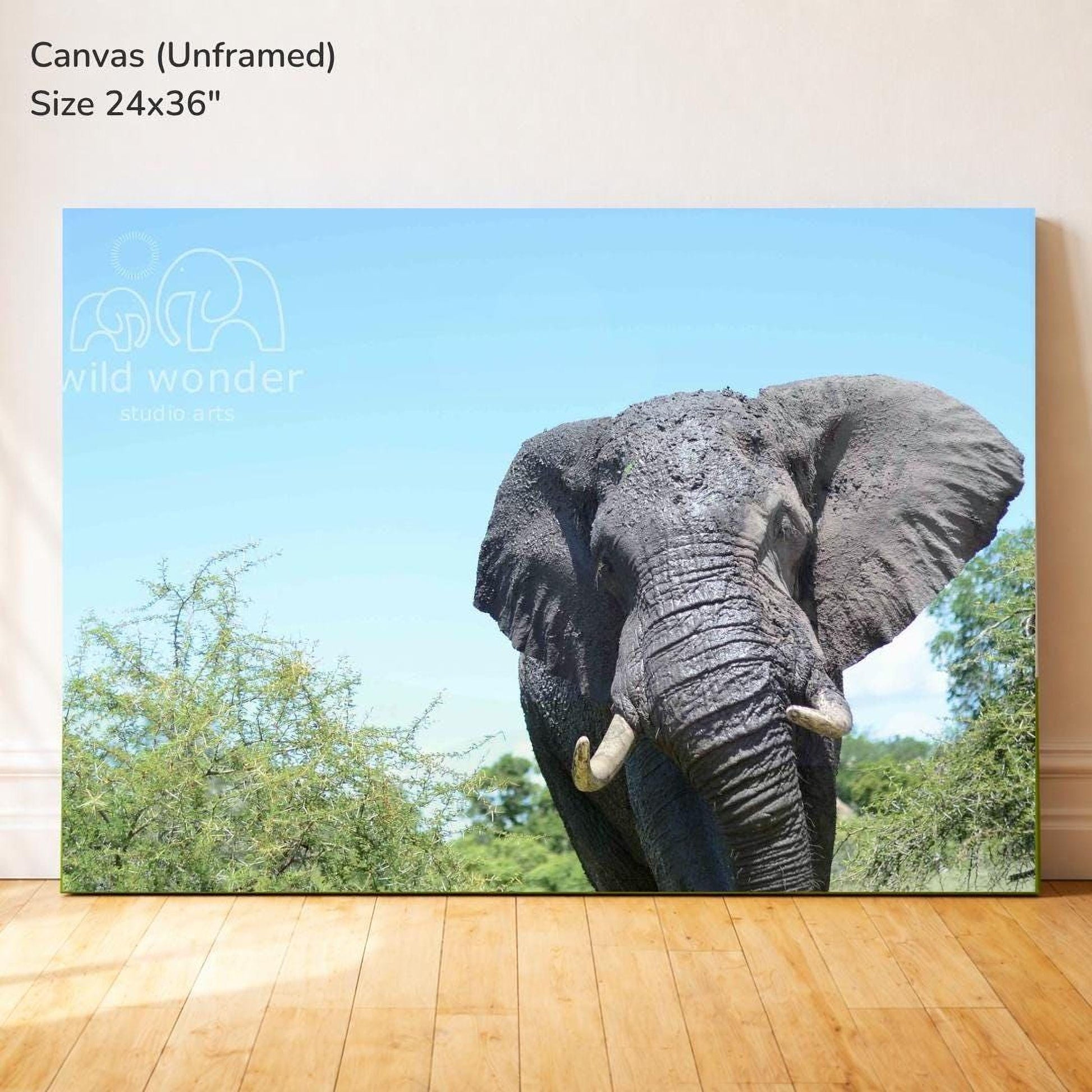 The image is a large canvas print depicting a majestic elephant standing in a lush green forest.