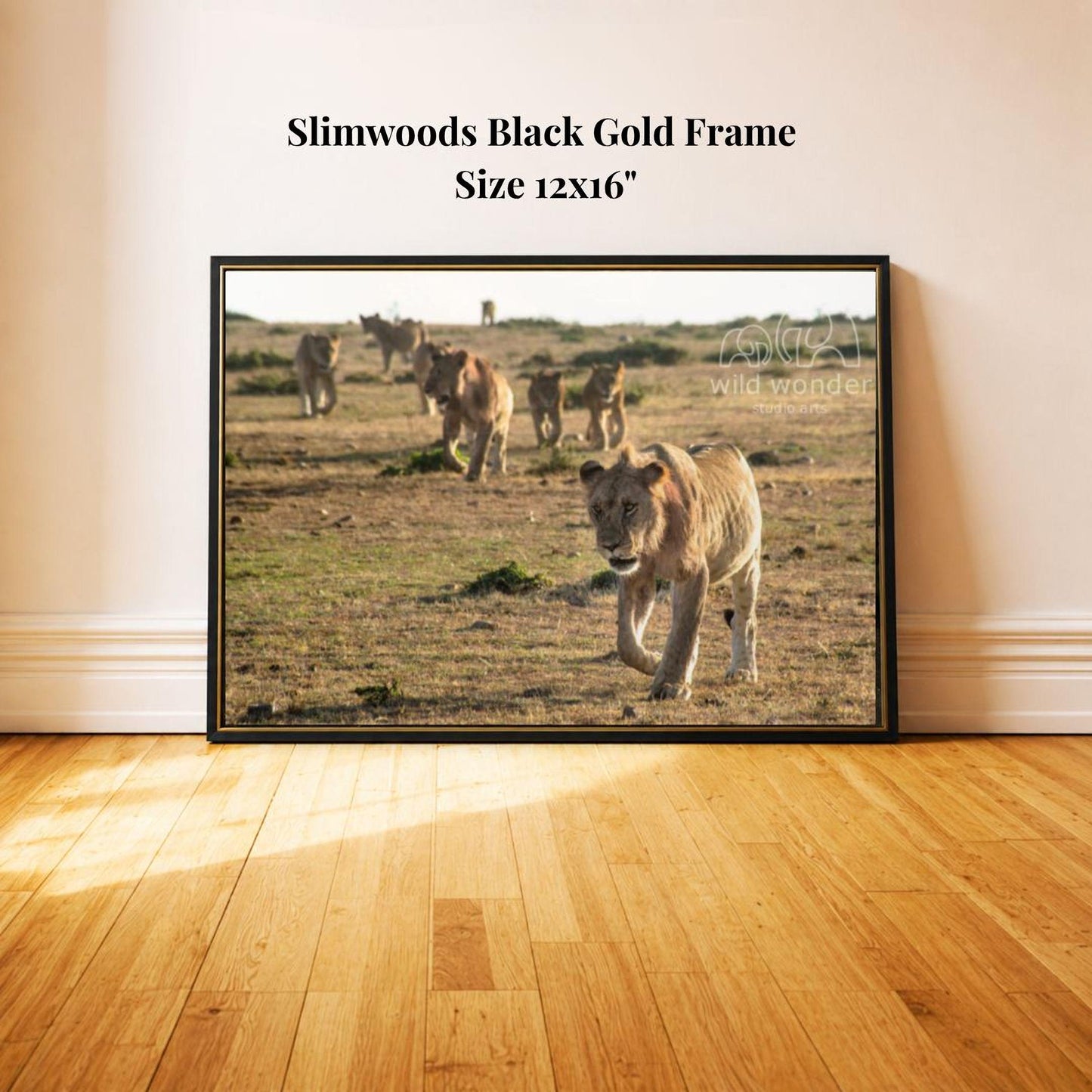 A framed photograph of a group of lions in a grassy field, with the text "Slimwoods Black Gold Frame" and "Size 12x16" indicating the size and material of the frame.
