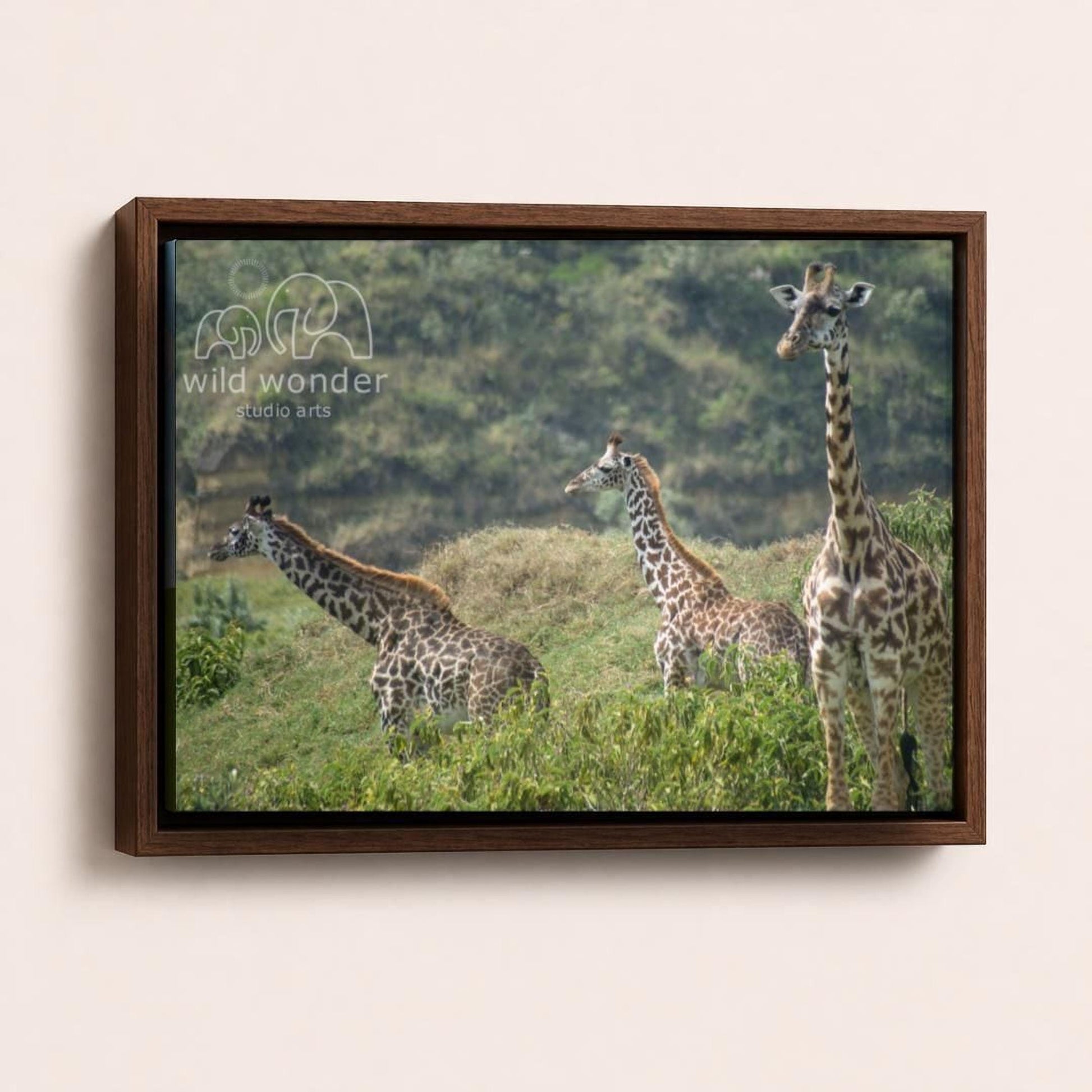 A group of giraffes standing in a grassy field, with trees in the background.