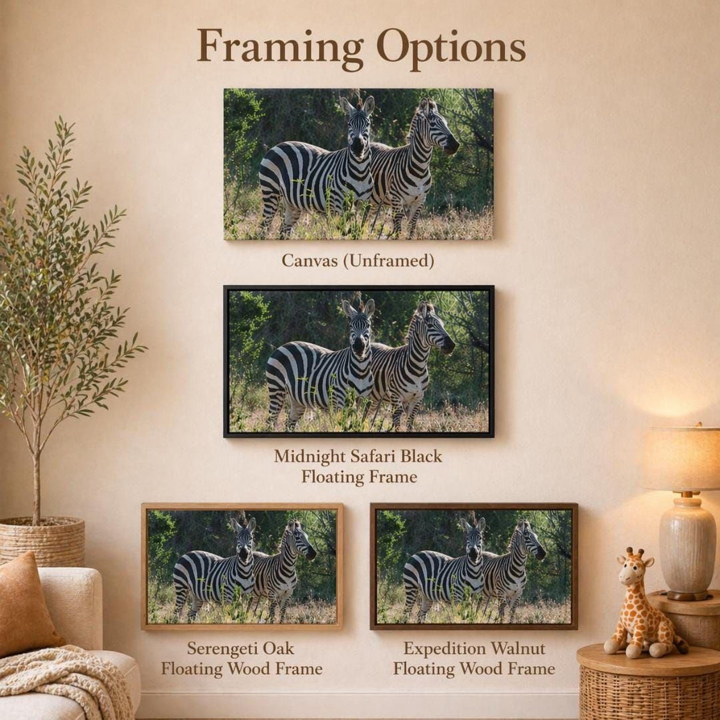 three framed photographs of zebras in different frames, including a canvas, a floating frame, and a floating wood frame.