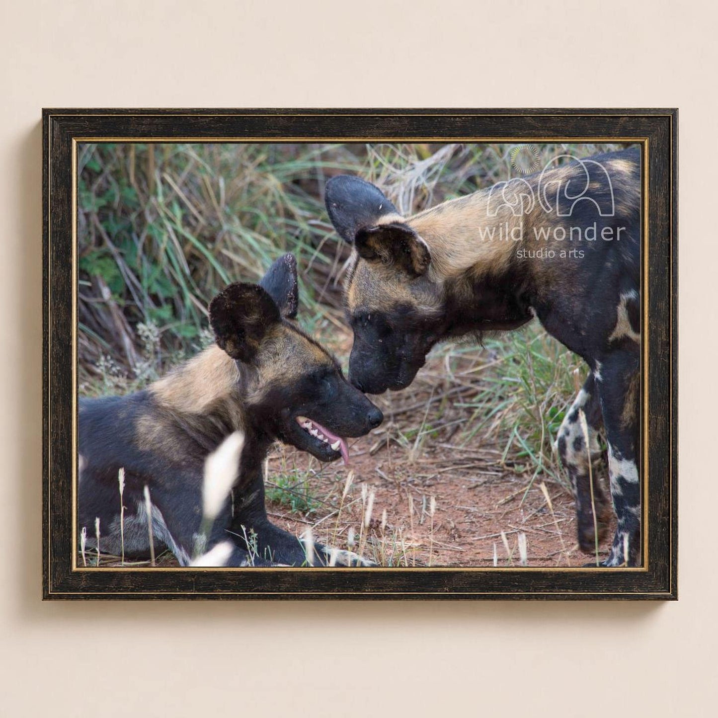 A framed photograph of two wild dogs, likely hyenas, in a natural setting with tall grass and vegetation.