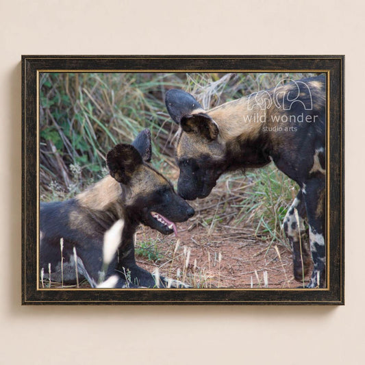 A framed photograph of two wild dogs, likely hyenas, in a natural setting with tall grass and vegetation.