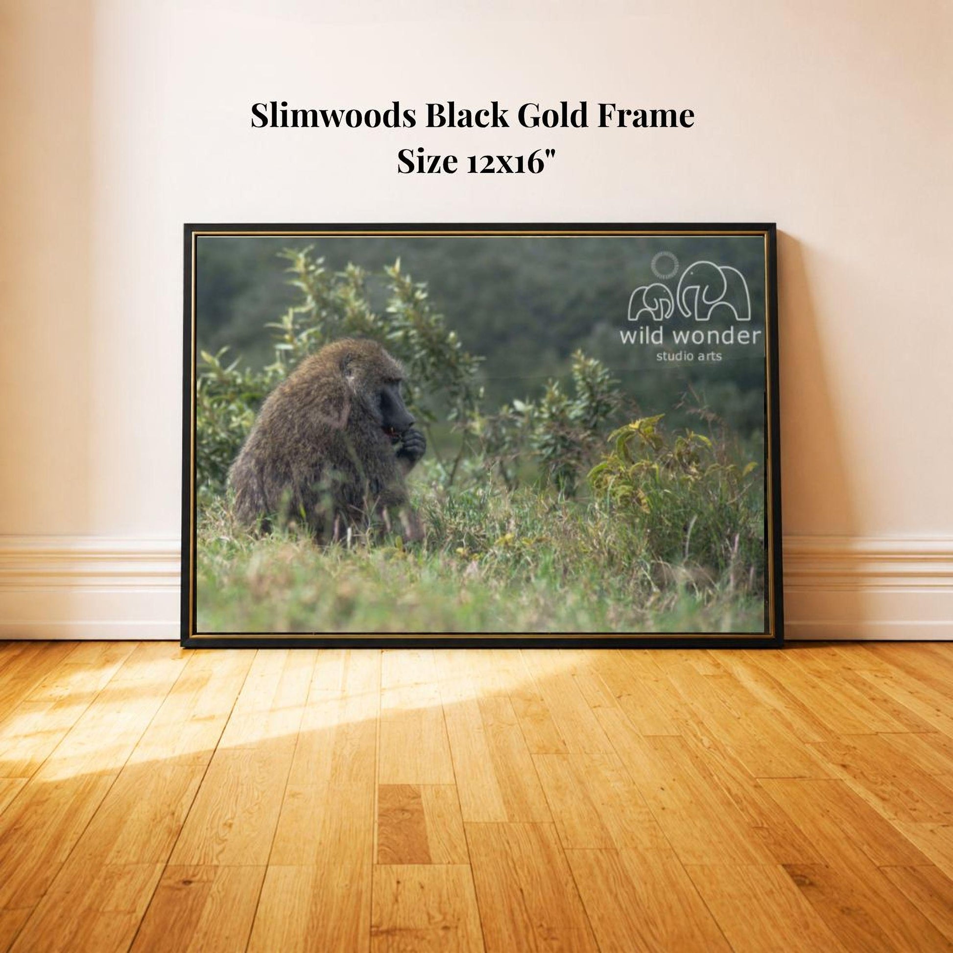 A framed photograph of a monkey sitting in a grassy area, with a black frame and a gold border.