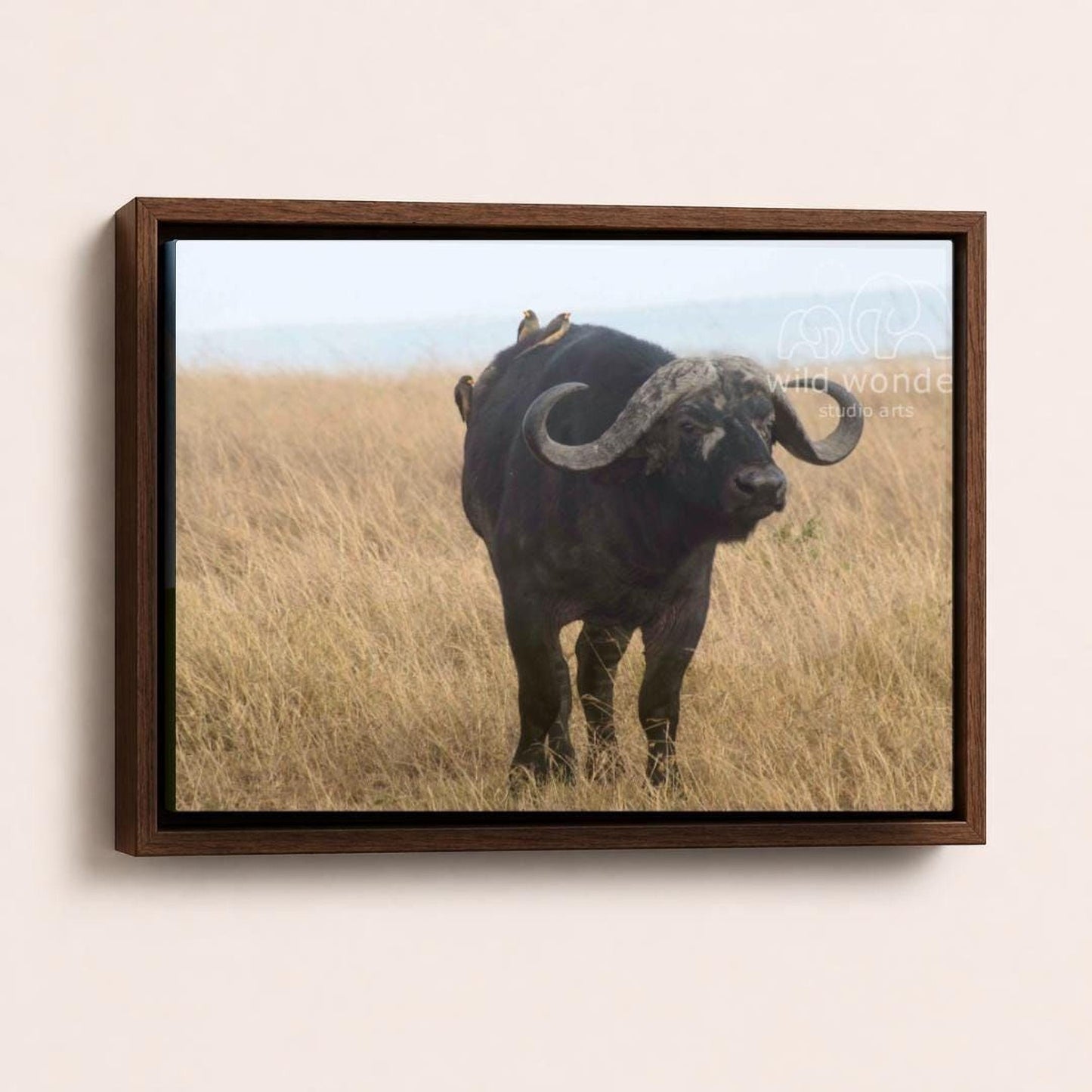 A large horned animal, possibly a buffalo or a bison, standing in a field of tall grass.