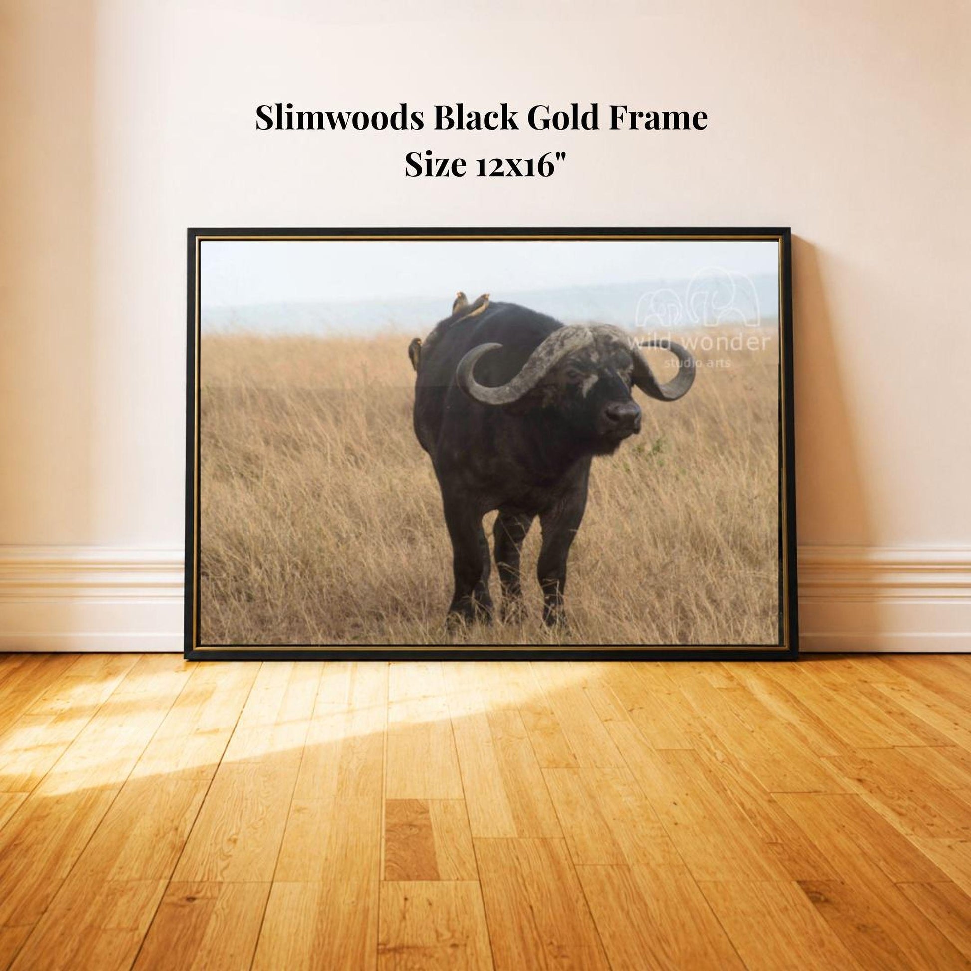 a black buffalo standing in a field of tall grass.