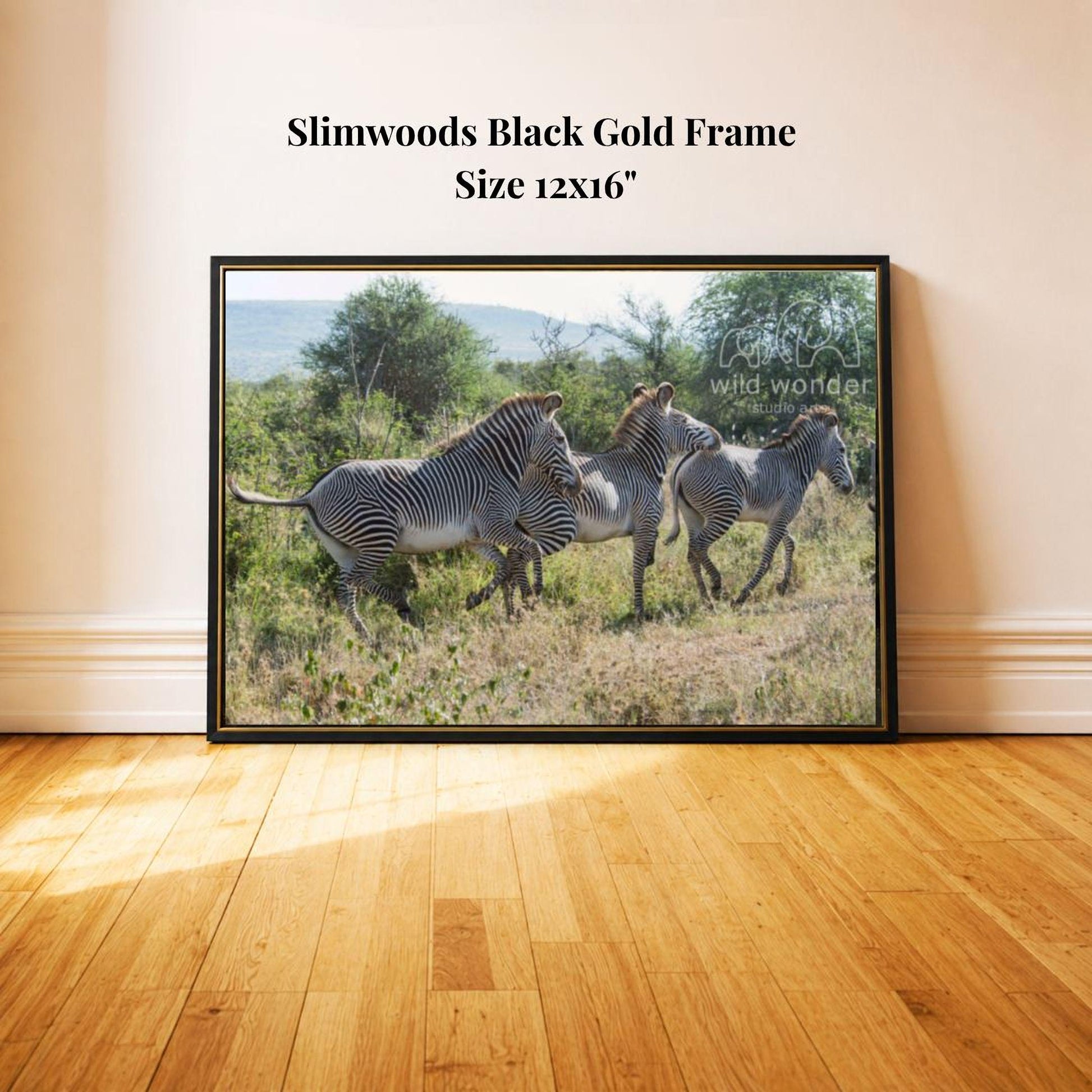 A framed photograph of a group of zebras in a grassy field, with a black gold frame.
