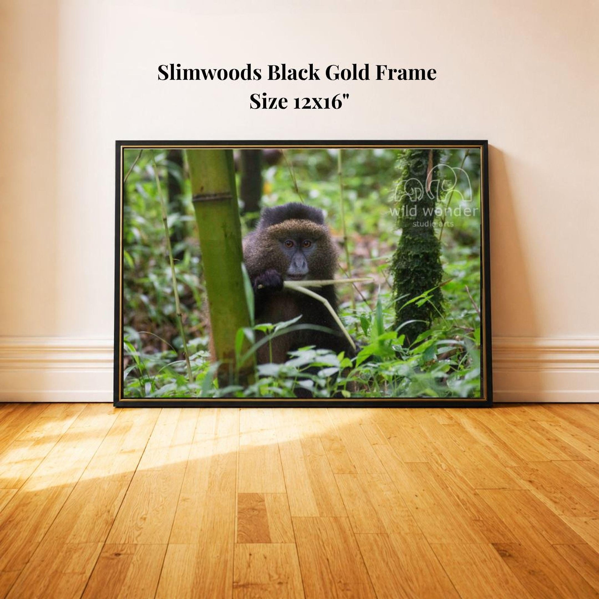 A framed photograph of a monkey sitting in the forest, surrounded by lush greenery.