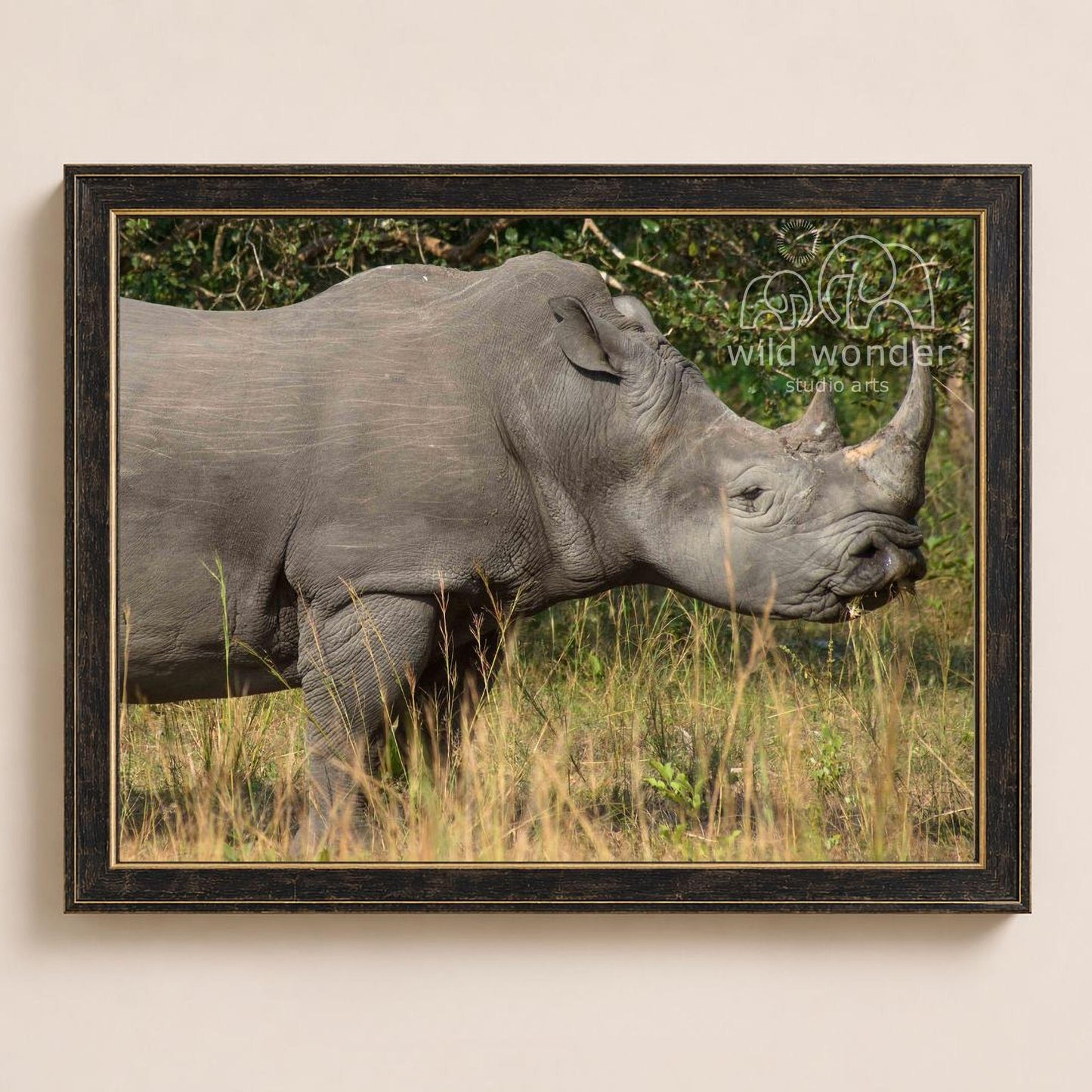 A rhinoceros standing in a grassy field with trees in the background.