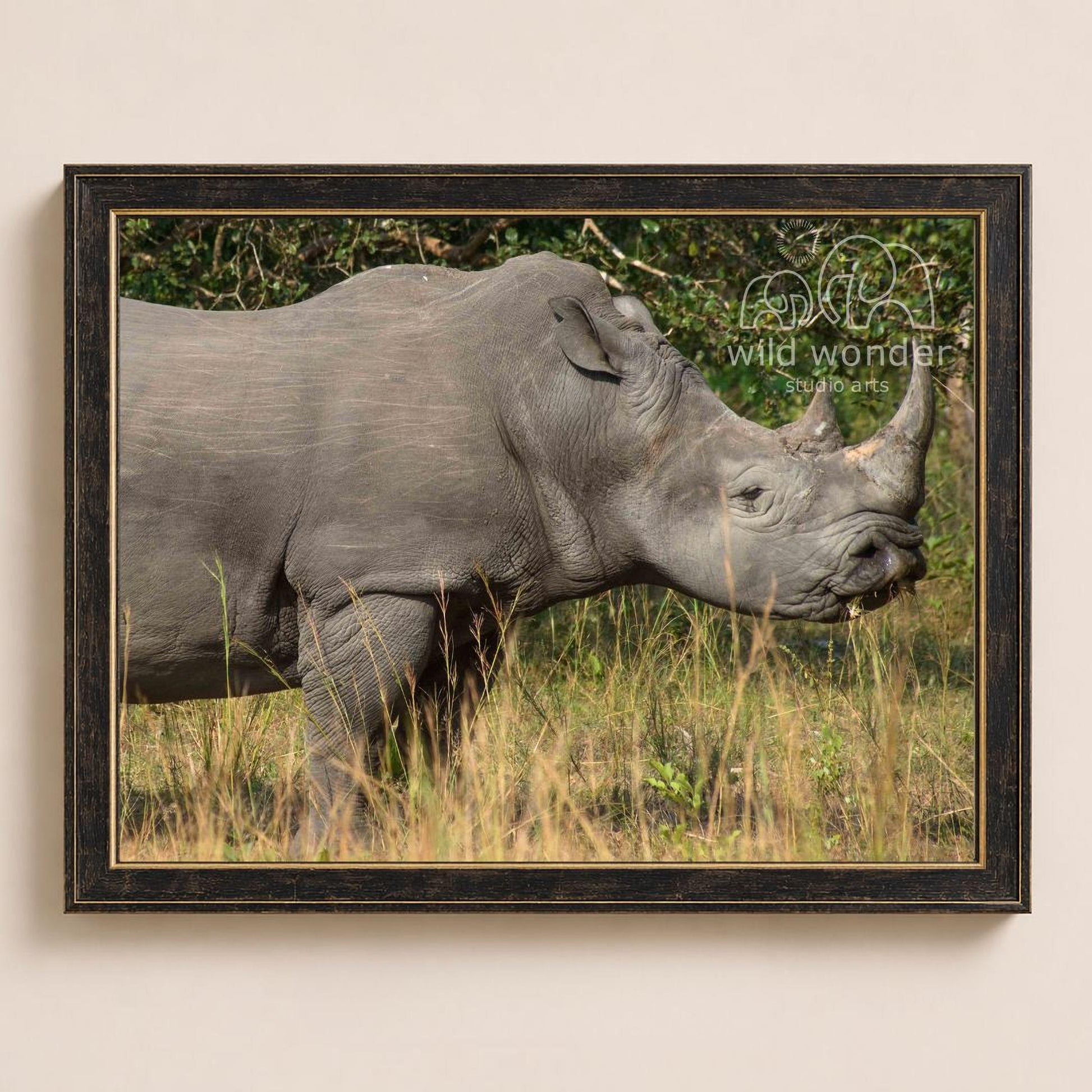 A rhinoceros standing in a grassy field with trees in the background.