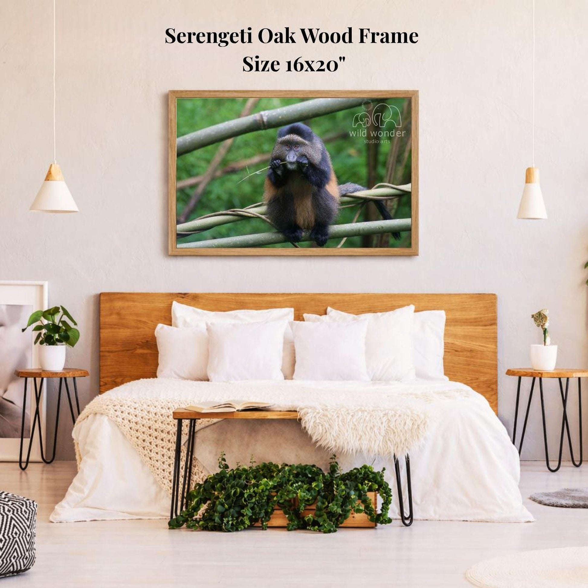 a serene bedroom scene with a large, 16x20" framed photograph of a monkey perched on a branch hanging on the wall above a bed with white bedding.