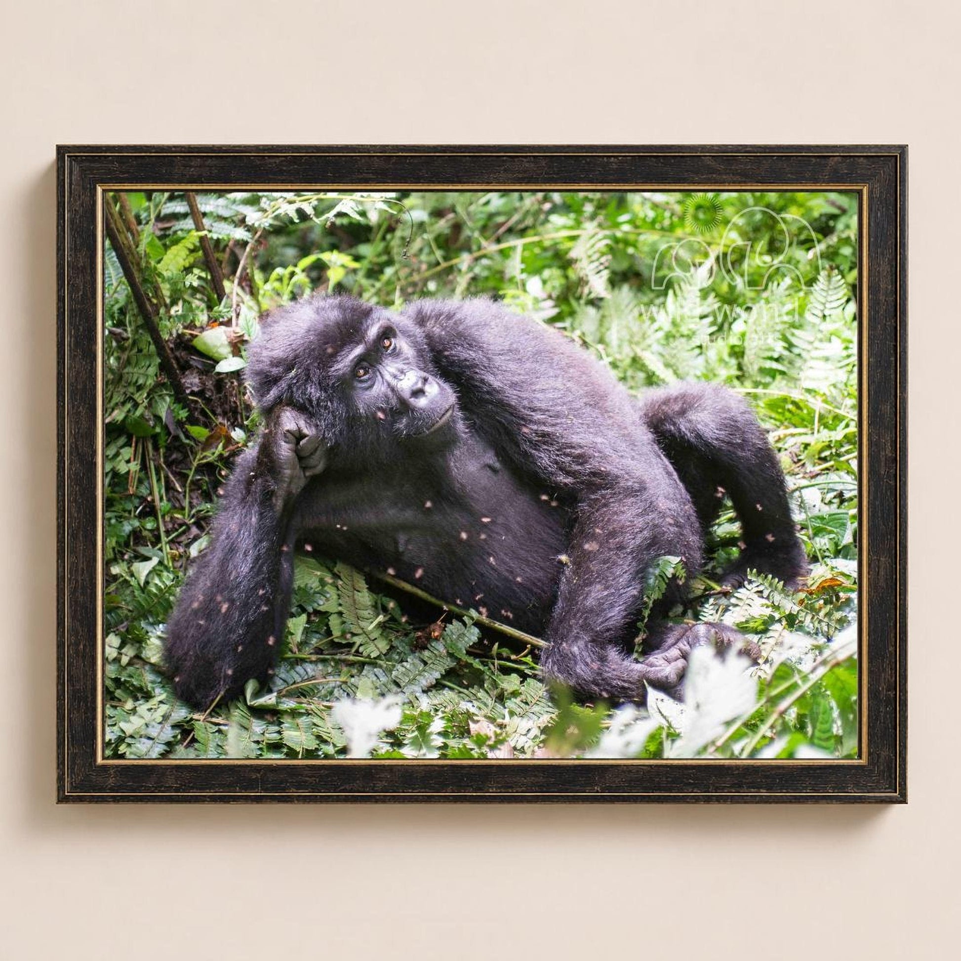 A black gorilla is sitting in a lush, green forest environment, surrounded by dense foliage and vegetation.