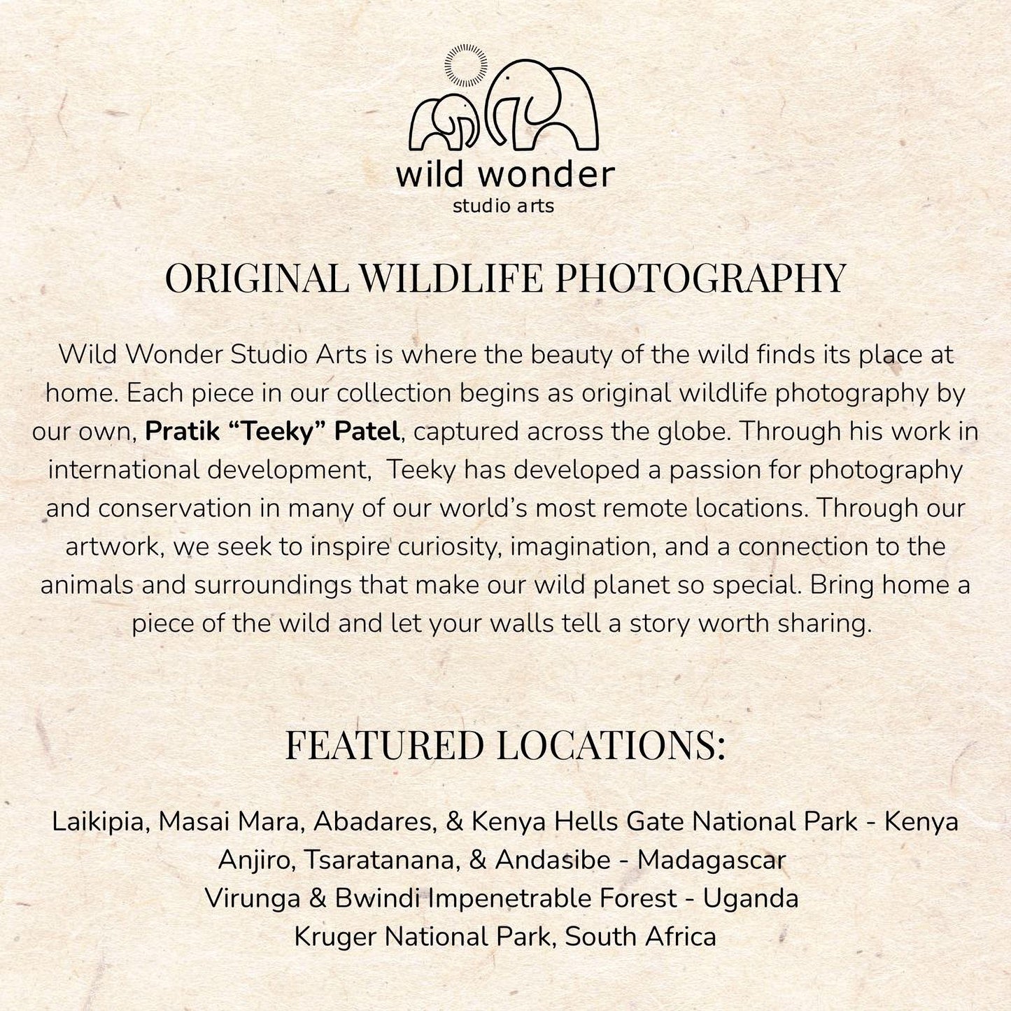 The image is a collection of wildlife photography pieces from various locations around the world, showcasing the beauty of the wild and the passion for photography in different environments.