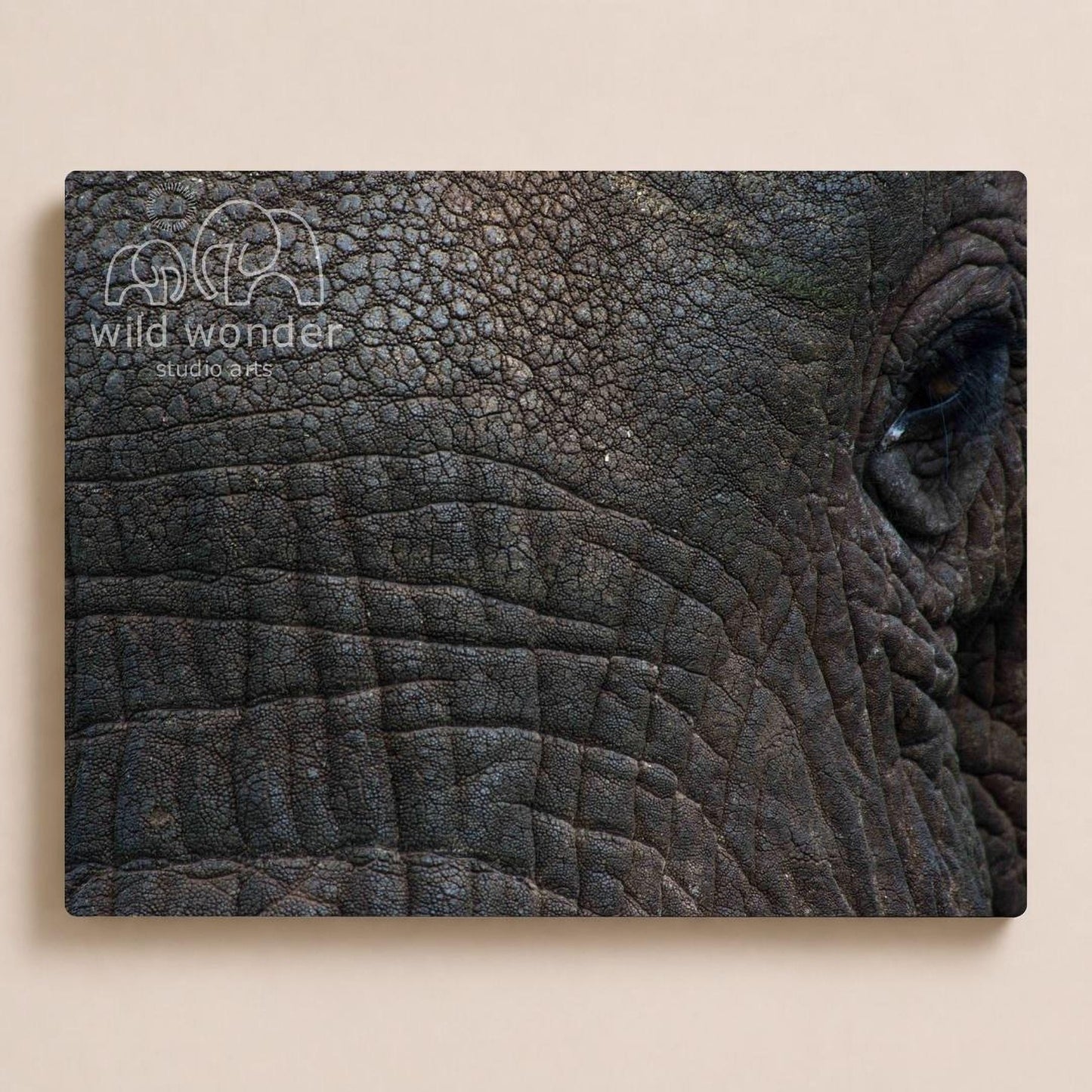 a close-up view of the wrinkled and textured skin of an elephant's face, with a logo or text visible in the top left corner.