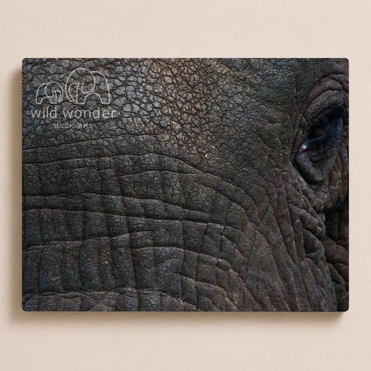 a close-up view of the wrinkled and textured skin of an elephant's face, with a logo or text visible in the top left corner.