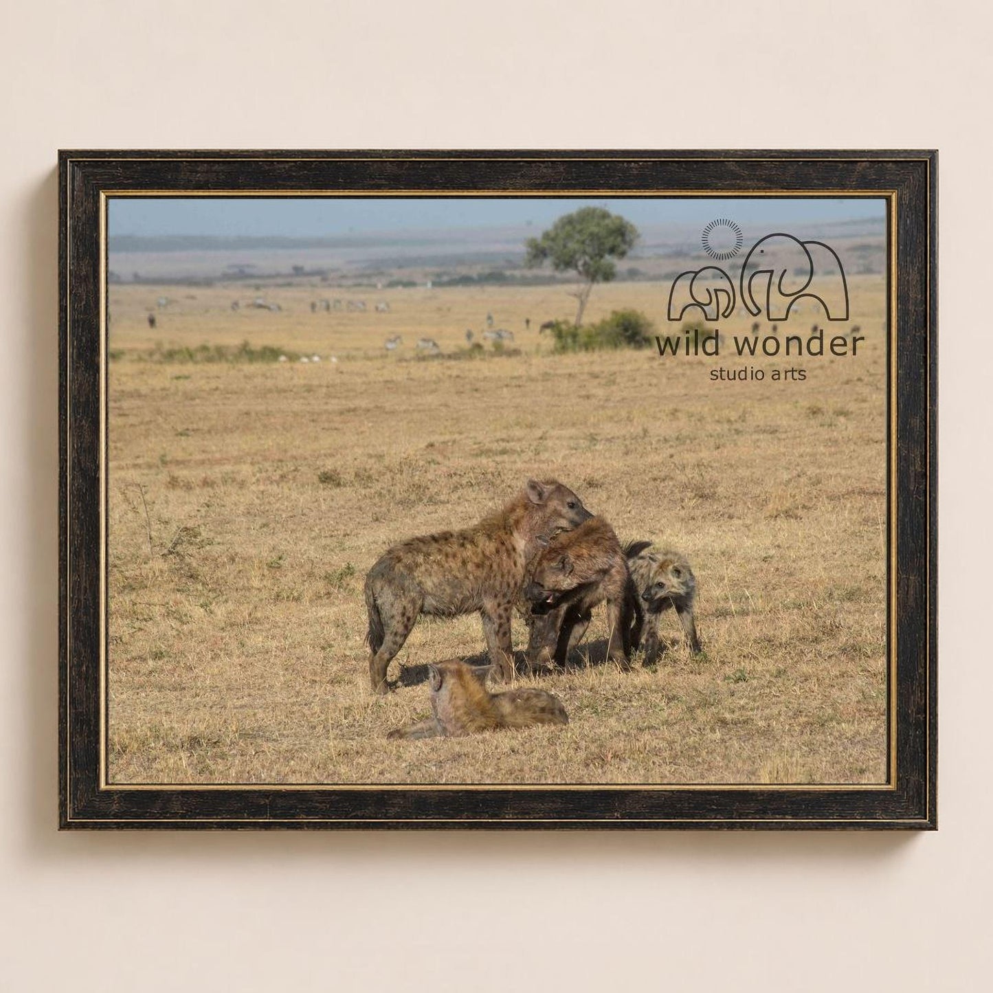A framed photograph depicting a group of hyenas in a dry grassland landscape, with a logo for "wild wonder studio arts" in the corner.