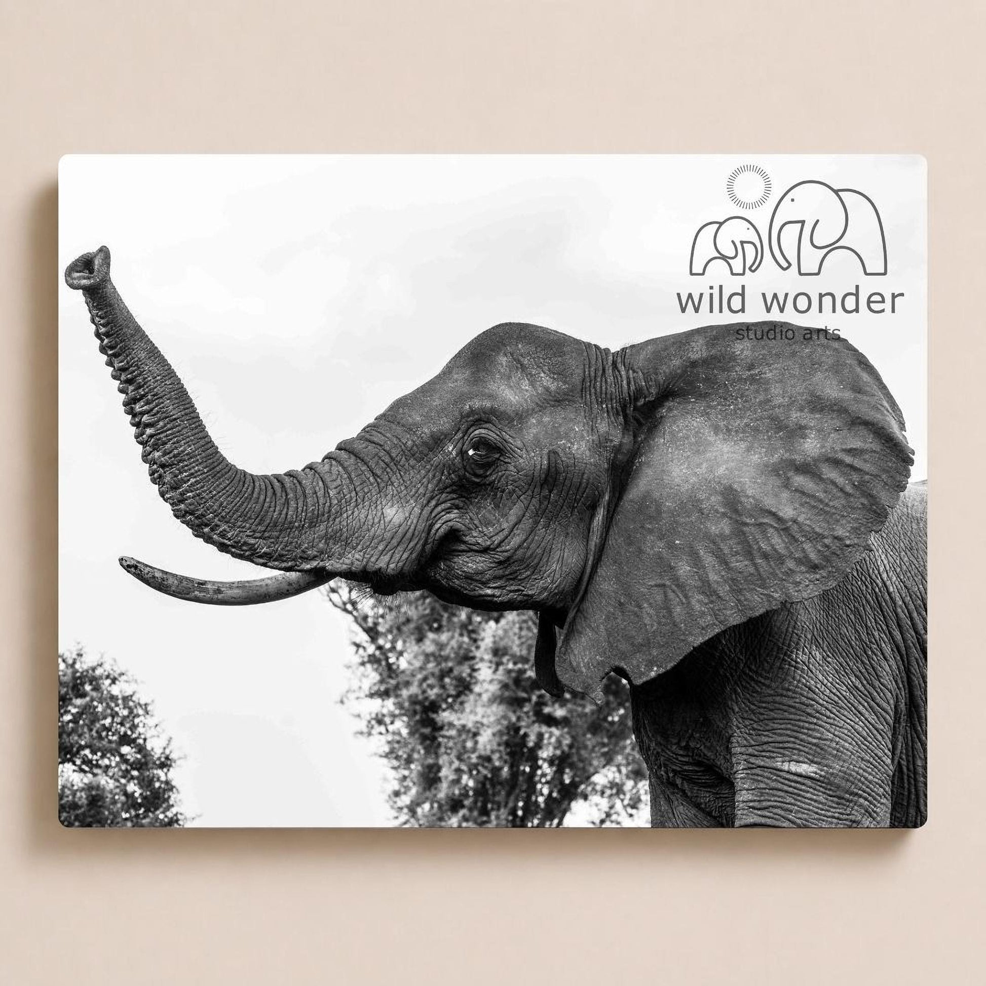 A black and white photograph of an elephant with its trunk raised, standing in a natural setting with trees in the background.