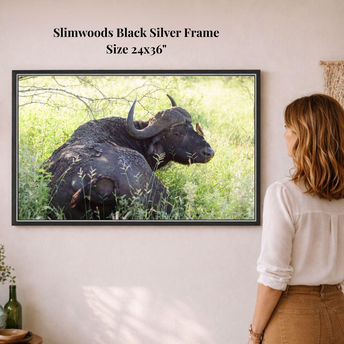 A woman is standing in front of a framed photograph of a black buffalo resting in a grassy field.