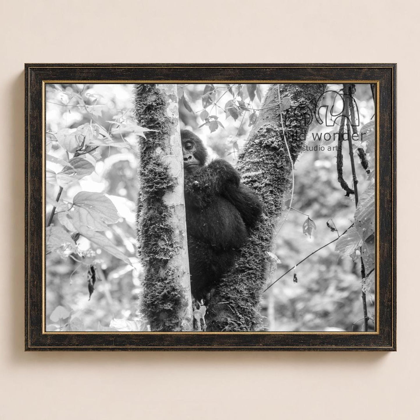 A black and white photograph of a gorilla sitting on a tree branch in a forest setting.