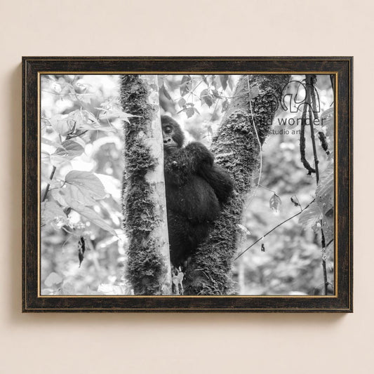 A black and white photograph of a gorilla sitting on a tree branch in a forest setting.