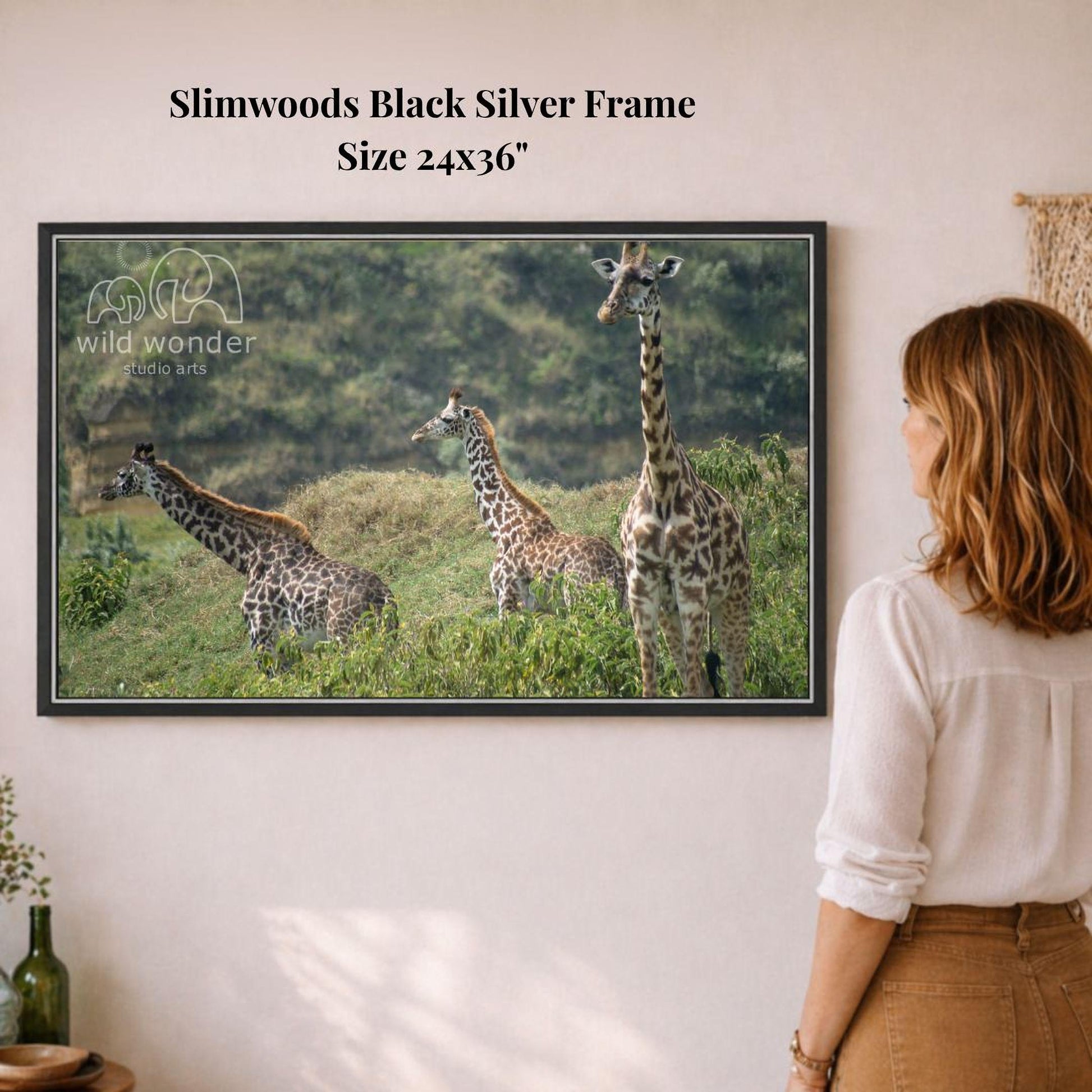 A woman is standing in front of a framed photograph of three giraffes in a grassy field, observing the wildlife.