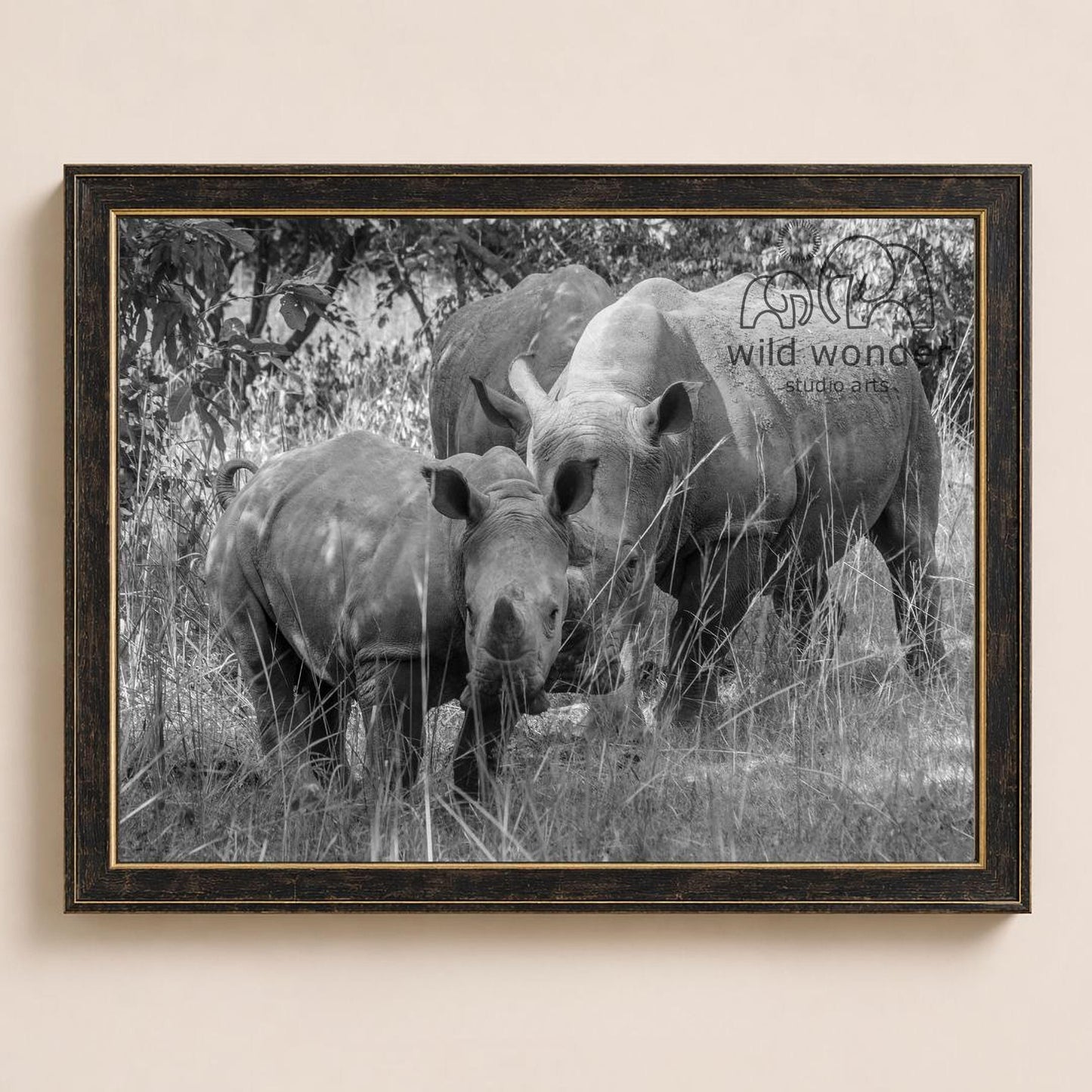 A black and white photograph of three rhinos standing in a grassy field, with one rhino looking directly at the camera.