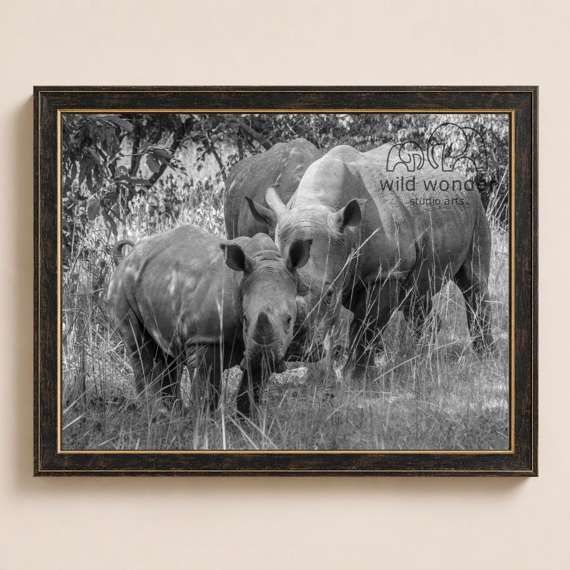 A black and white photograph of three rhinos standing in a grassy field, with one rhino looking directly at the camera.