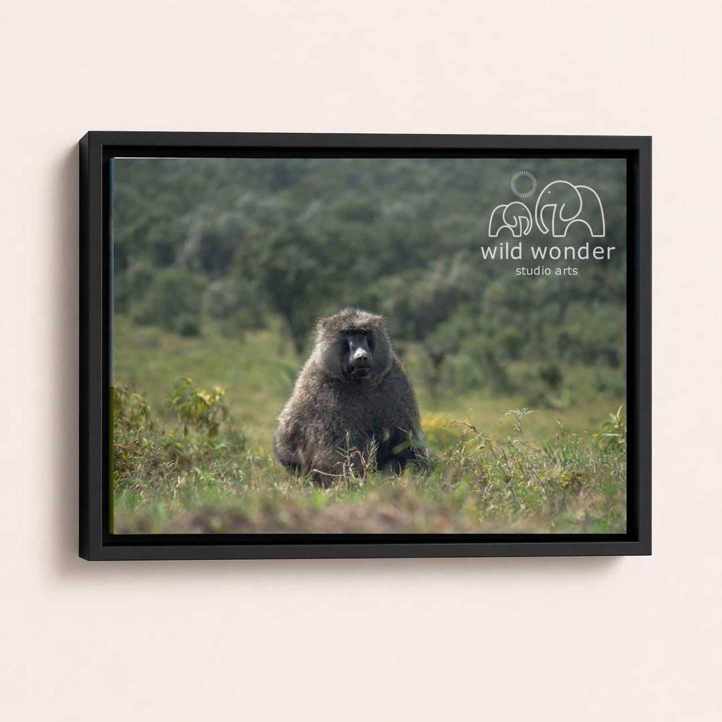 A large, furry animal, possibly a rodent or a similar creature, is sitting in a grassy field with trees in the background.