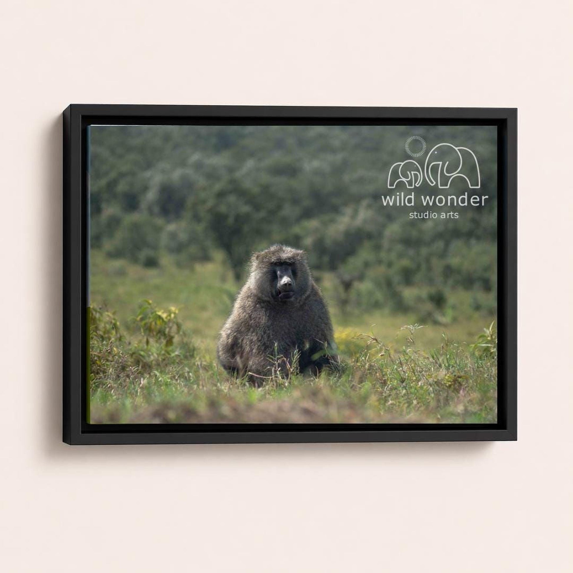 A large, furry animal, possibly a rodent or a similar creature, is sitting in a grassy field with trees in the background.