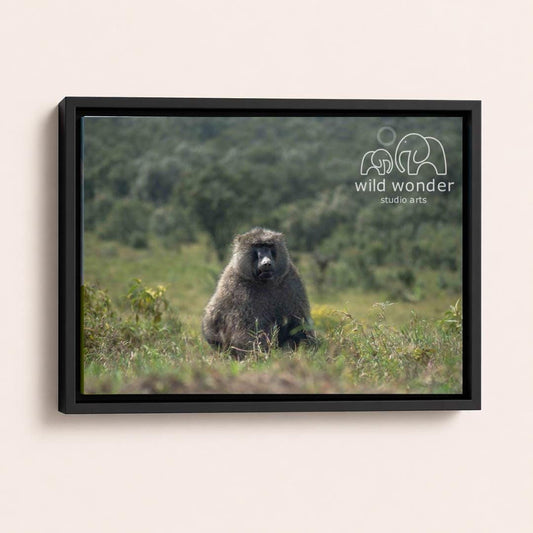 A large, furry animal, possibly a rodent or a similar creature, is sitting in a grassy field with trees in the background.