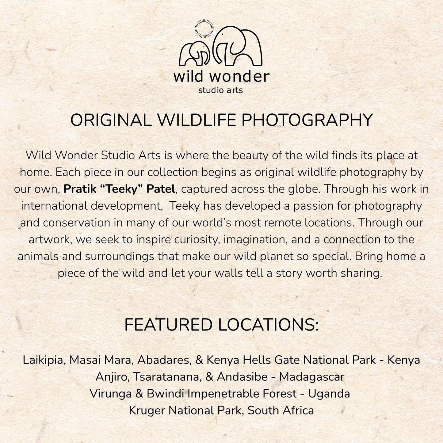 The image is a collection of wildlife photography pieces from various locations around the world, showcasing the beauty of the wild and the passion for photography in different environments.