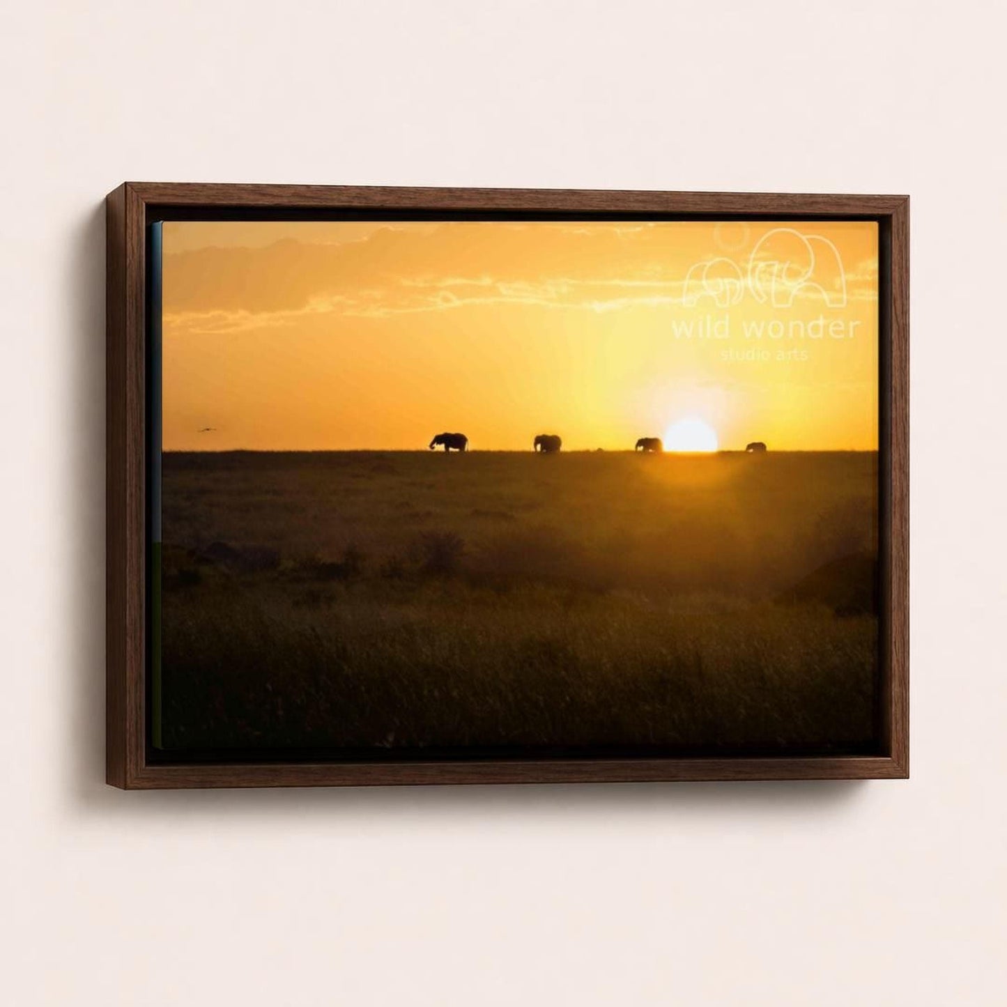 A group of elephants grazing in a grassy field at sunset, with the sun setting behind them.