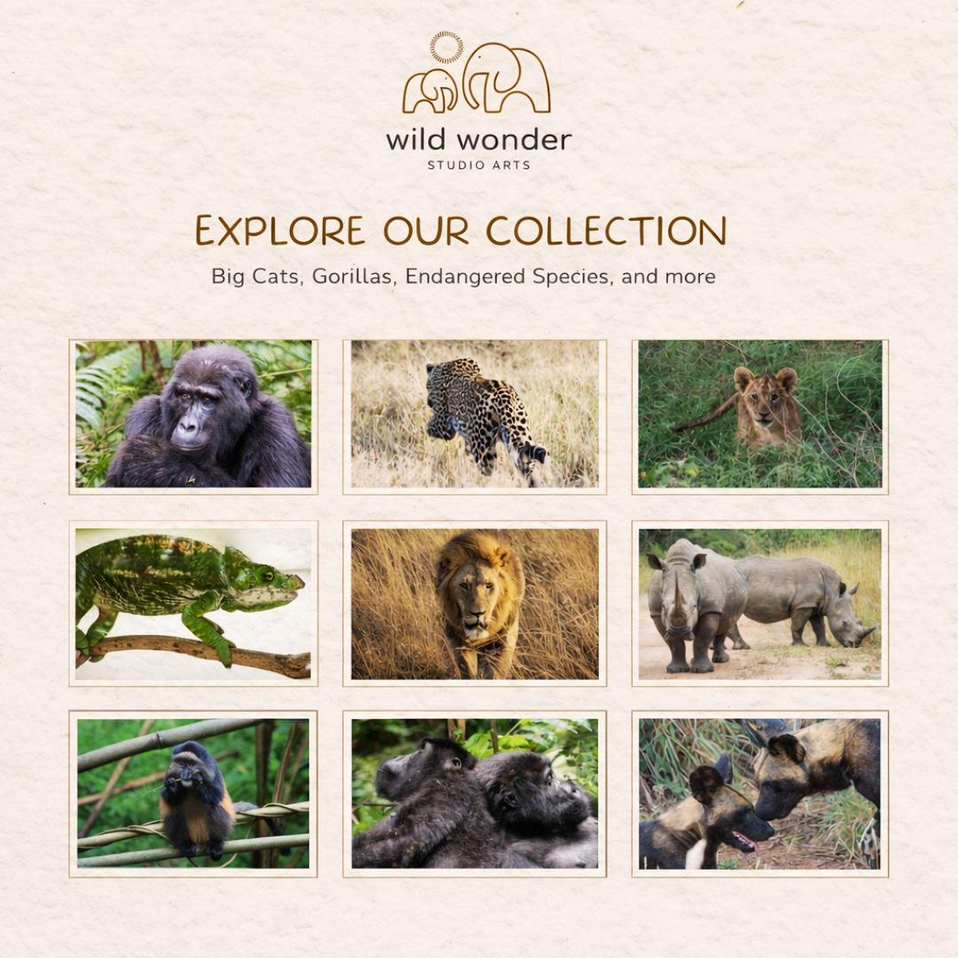 The image is a collage of nine different animal photographs, including a gorilla, a lion, a rhinoceros, a chameleon, a leopard, a giraffe, a hippopotamus, a rhinoceros, and a giraffe.