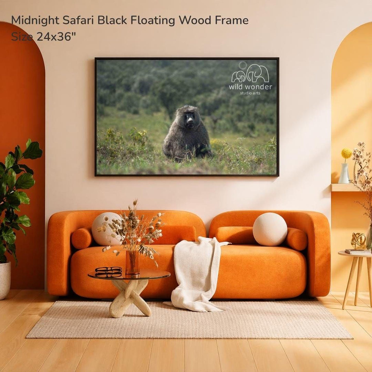 a large black floating wood frame hanging on a wall, displaying a photograph of a baboon in a grassy field. The room has an orange sofa, a glass coffee table, and a potted plant, creating a cozy and inviting atmosphere.