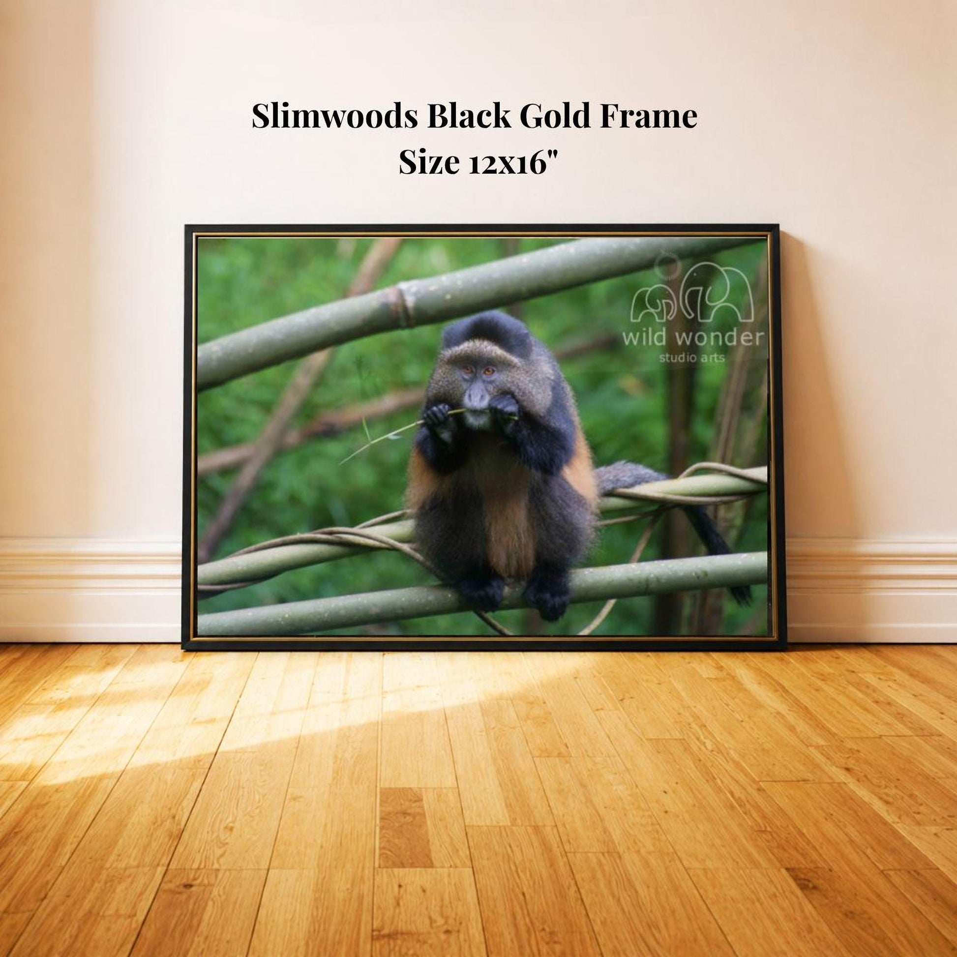 A black and gold framed photograph of a monkey sitting on a branch in a forest setting.