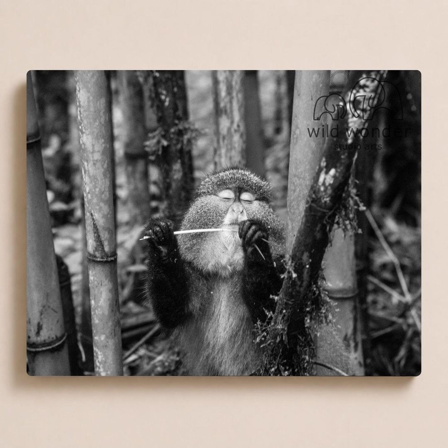 A monkey is sitting in a forest, holding a stick and appearing to be playing with it.