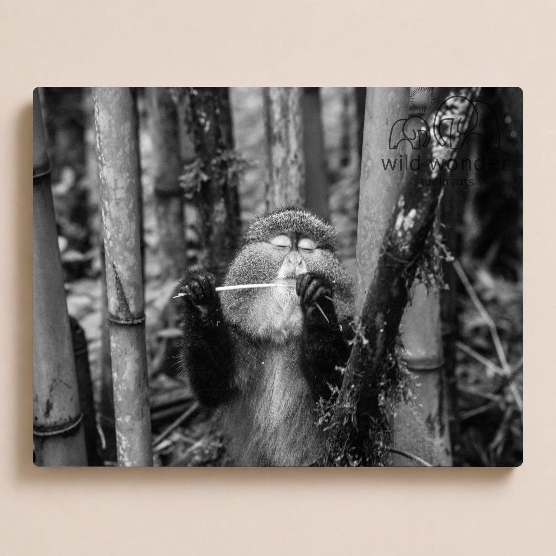 A monkey is sitting in a forest, holding a stick and appearing to be playing with it.