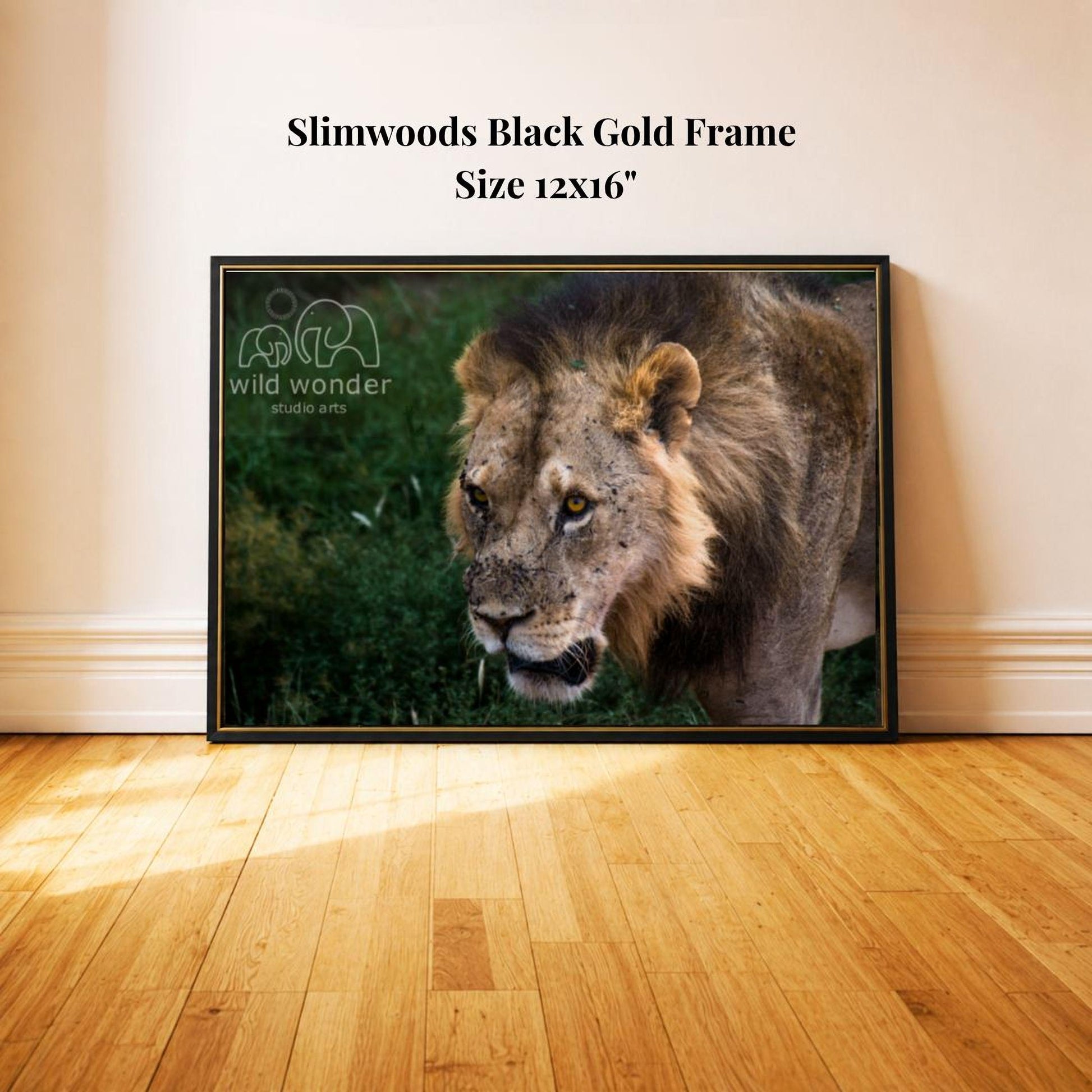 A framed photograph of a lion is displayed on a wooden floor against a white wall.