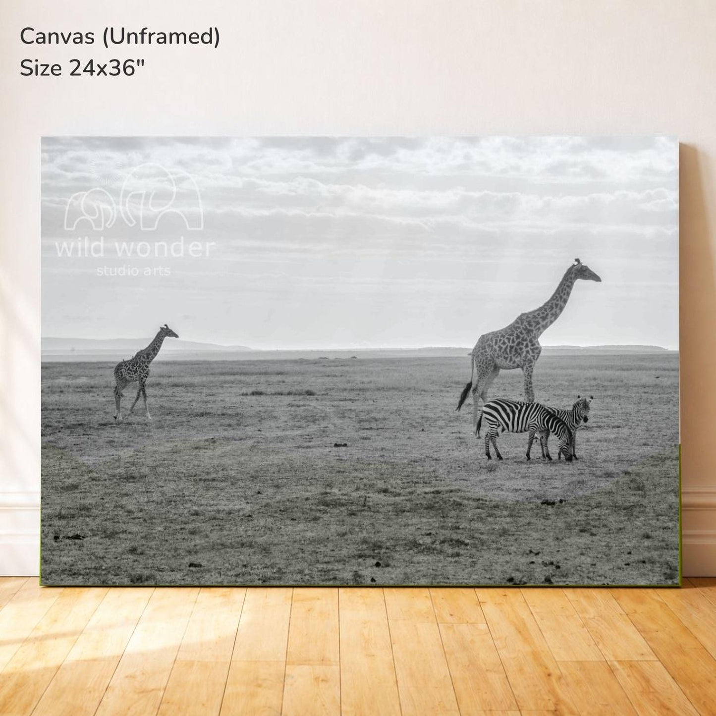 A black and white photograph of a giraffe and a zebra standing in a grassy field, with a cloudy sky in the background.