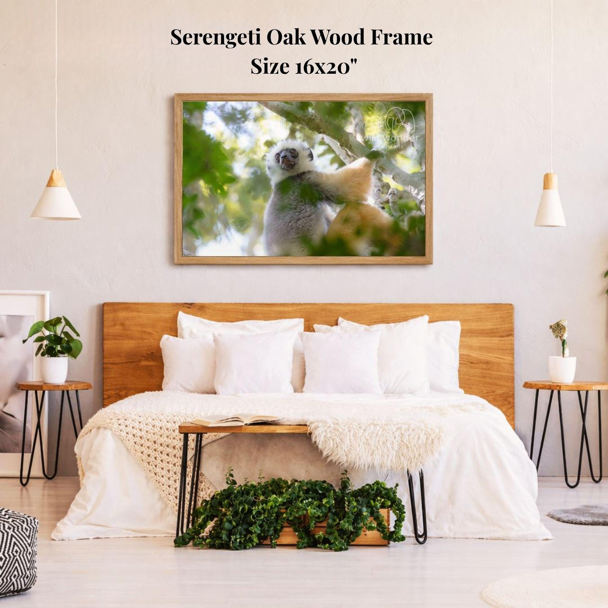 a serene bedroom scene with a large framed picture of a koala resting on a tree branch hanging above a bed with white bedding.