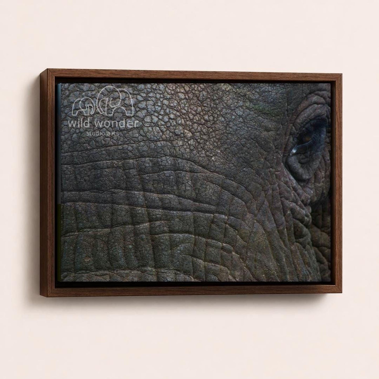 The image is a close-up of an elephant's eye, showcasing its intricate texture and depth.