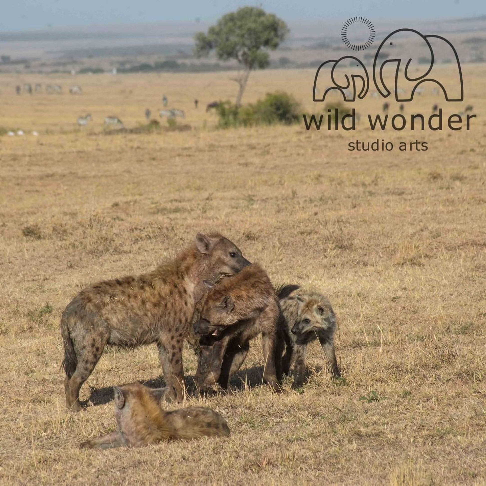A group of hyenas in a dry grass field, with a tree in the background and a logo for "wild wonder studio arts" in the top right corner.