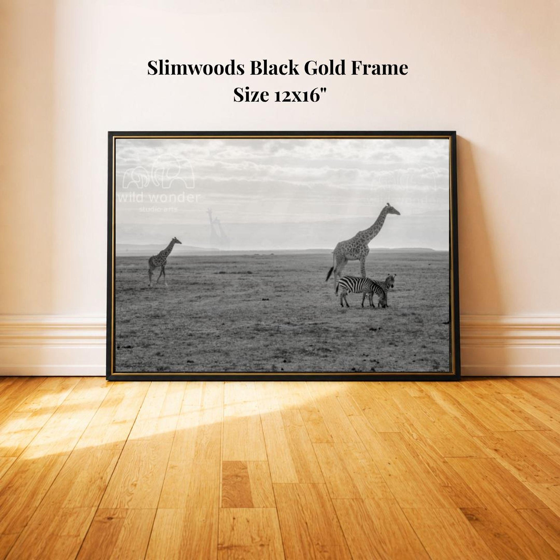 A black and white photograph of three giraffes and a zebra in a grassy field, with a black gold frame.