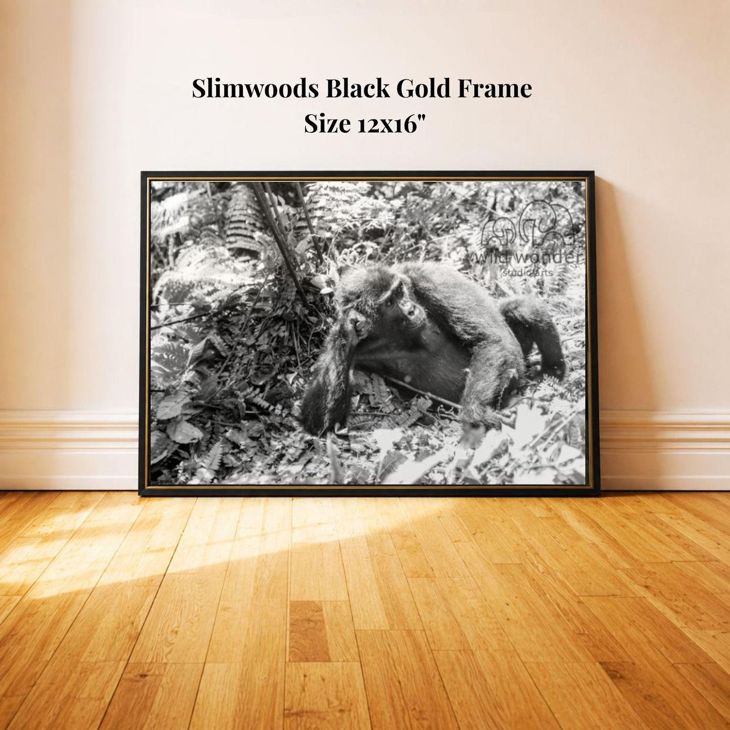 A black and white photograph of a monkey sitting on the ground in a forest setting.