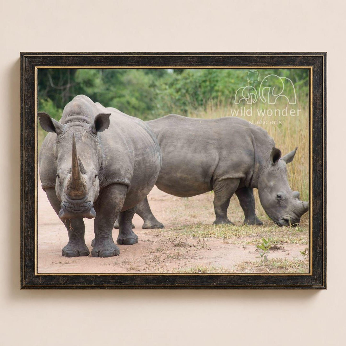 Two rhinoceroses standing in a grassy field, one facing the camera and the other grazing.