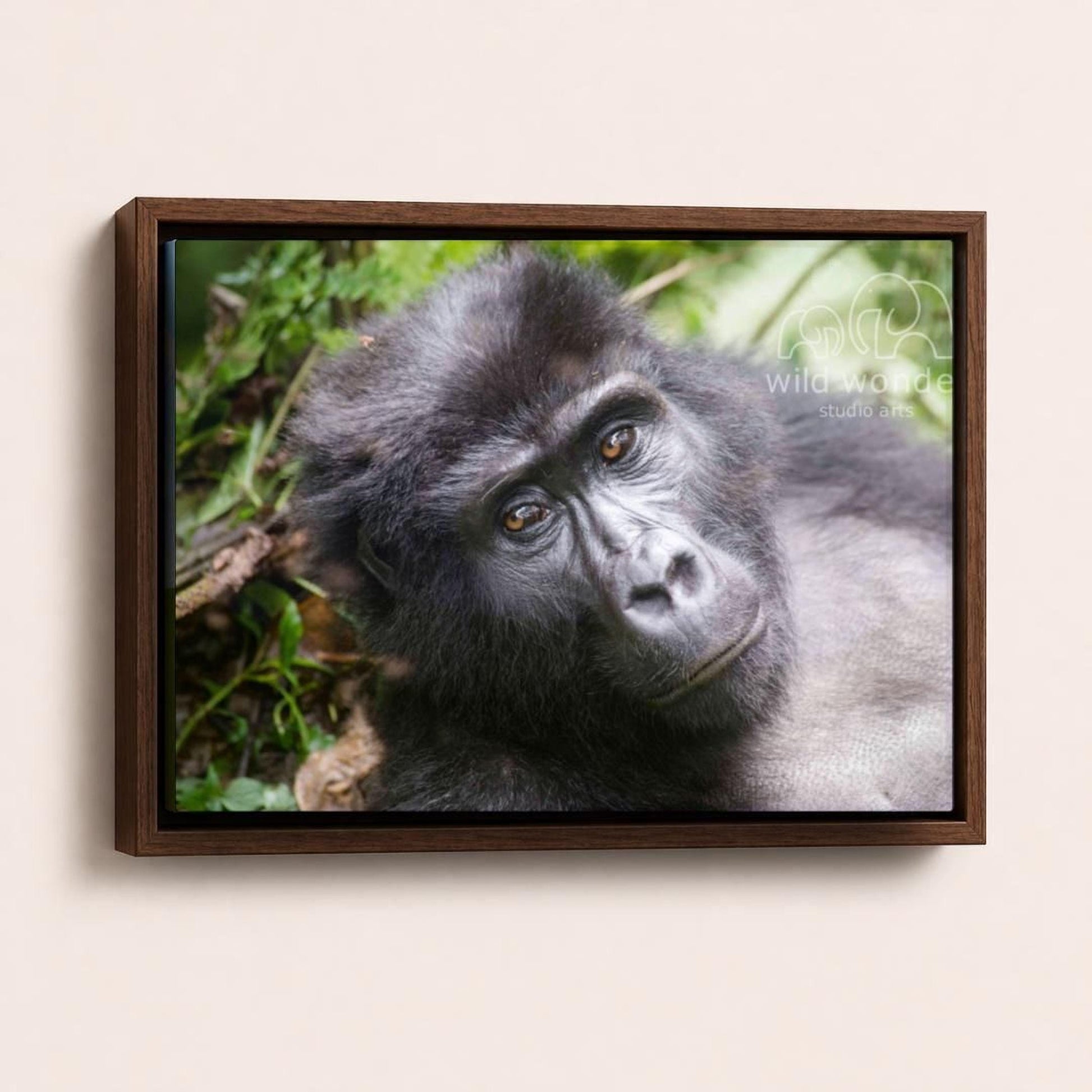 A close-up portrait of a gorilla resting in a lush, green forest environment.