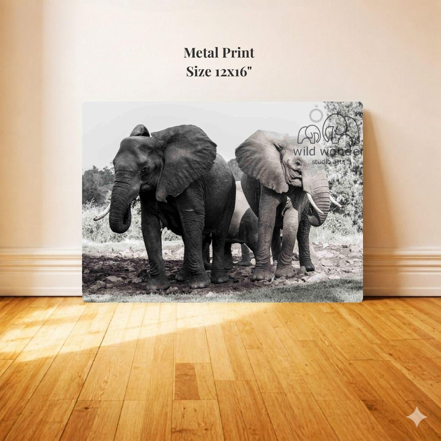 A black and white photograph of three elephants standing together in a natural setting, with a metal print of the image displayed on a wooden floor.
