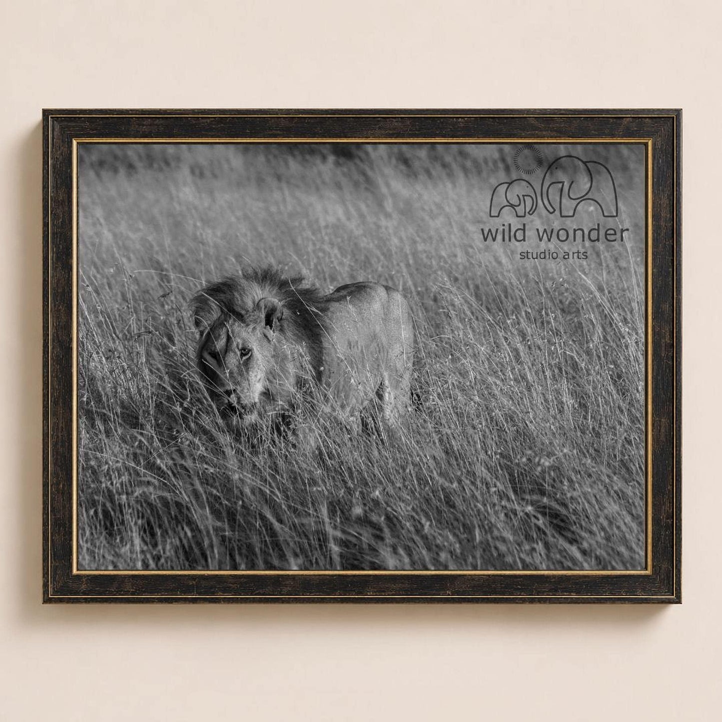 A black and white photograph of a lion standing in tall grass, with the text "wild wonder studio arts" visible in the frame.